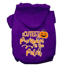Cutest Pumpkin In The Patch Screen Print Dog Hoodie - More Colors