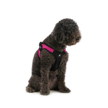 Gooby Escape Free Easy Fit Pet Dog Harness - Hot Pink