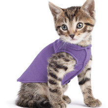 Gold Paw Stretch Fleece - Lavender