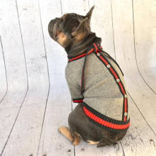 Bella Bean Couture Designer Pucci Tie Dog Sweater