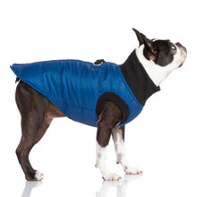 G21 Bomber Warm Waterproof Dog Coat | Blue - XS-XL