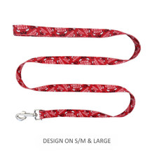 Little Earth Productions Chicago Bulls Pet Nylon Leash - XS