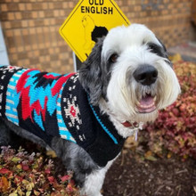 Black Southwest Wool Dog Sweater