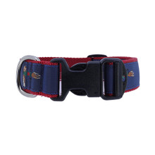 Dog Collar - Royal Wulff Fly, 1 1/4"