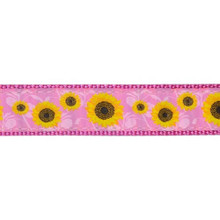 Preston Dog Dog Collar - Sunflower, 1 1/4