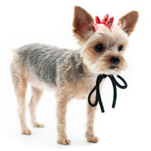 Dogo Pet Dragon Pet Dog Hat