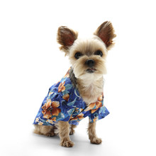 Tropical Floral Blue Dog Shirt