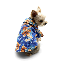 Tropical Floral Blue Dog Shirt