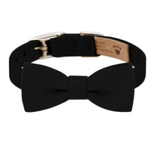 Black Bow Tie 1/2" Dog Collar Image