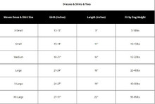 The Worthy Dog Dress Size Chart image