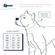 Measuring for a dog collar iimage