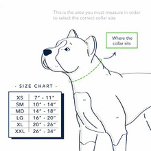 How to measure for a dog collar image