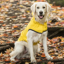 Reversible Elasto-Fit Pet Dog Raincoat - Yellow