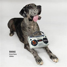 Snoop Doggie Deluxe Boom Box Pet Toy