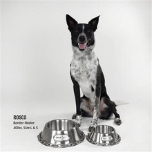 Snoop Doggie Deluxe Silver Pet Bowl - Off The Chain