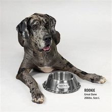 Snoop Doggie Deluxe Silver Pet Bowl - Off The Chain