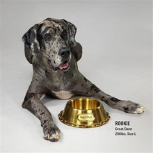 Snoop Doggie Deluxe Gold Pet Bowl - Off The Chain