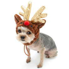 Rudolf Antlers Dog Hat