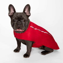 HD Hoodless Pet Dog Raincoat - Red