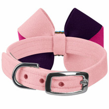 Pinwheel Pink is Love Dog Collar