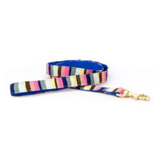 At the Beach Bahama Dog and Cat Collars and Optional Leash