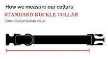 Image of how to measure you pets collar
