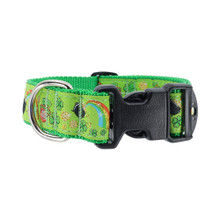Mr. Lucky 3/4 & 1.25 inch Dog Collar, Harness