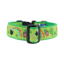 Mr. Lucky 3/4 & 1.25 inch Dog Collar, Harness