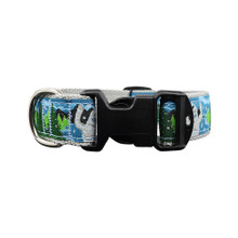 Yeti 3/4 & 1.25 inch Dog Collar, Harness