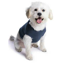 U.S. Army Paratrooper Logo Dog Tank