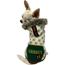 Designer Grrrci Ladybug Pocket Dog Hoodie - Forest Green