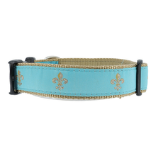 Turquoise Fleur de Lis 1/2, 3/4 & 1.25 inch Dog & Cat Collar