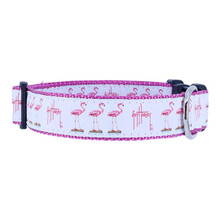 Dog Collar - GH Flamingo -  3/4 & 1 1/4