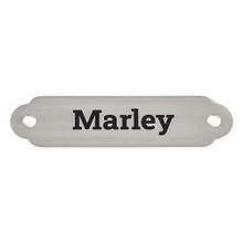 Nameplate or Charm