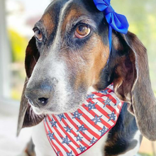 Americana Stars & Stripes Dog Pet Dog Bandanas