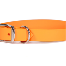 Sparky’s Choice Standard Buckle Collar - Waterproof 