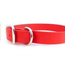 Sparky’s Choice Standard Buckle Collar - Waterproof 
