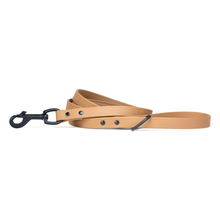 Range Day Dog Leash - 5 ft