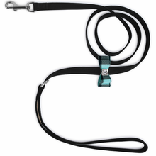 Tiffi Blue Gingham Big Bow Leash by Susan Lanci