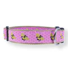 Bumble Bee & Honeycomb on Pink - 3/4 & 1.25 inch Dog Collar, Harness