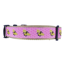 Bumble Bee & Honeycomb on Pink - 3/4 & 1.25 inch Dog Collar, Harness
