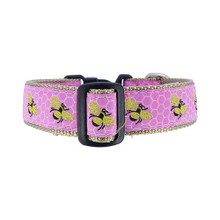 Bumble Bee & Honeycomb on Pink - 3/4 & 1.25 inch Dog Collar, Harness