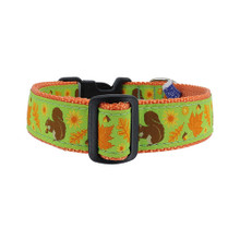 Squirrel and Nuts - 3/4 & 1.25 inch Dog Collar, Harness