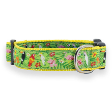 Tropical - 3/4 & 1.25 inch Dog Collar, Harness