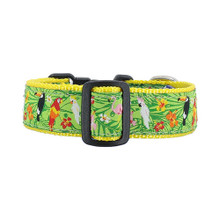 Tropical - 3/4 & 1.25 inch Dog Collar, Harness