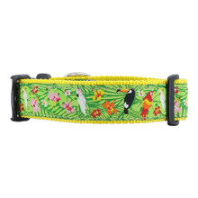 Tropical - 3/4 & 1.25 inch Dog Collar, Harness