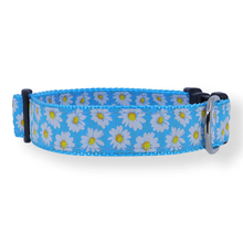 Daises on Blue - 3/4 & 1.25 inch Dog Collar, Harness