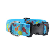Pickleball - 3/4 & 1.25 inch Dog Collar, Harness