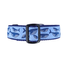 Humpback Whale on Blue - 3/4 & 1.25 inch Dog Collar, Harness