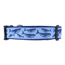 Humpback Whale on Blue - 3/4 & 1.25 inch Dog Collar, Harness